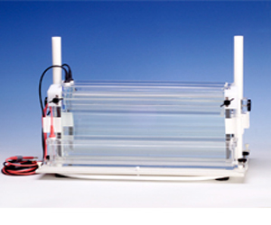 美國C.B.S.SCIENTIFIC超大型垂直電泳系列