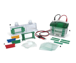 伯樂Trans-Blot 轉印槽Biorad Trans-Blot Cell 170-3939