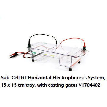 Sub-CellGT水平電泳槽