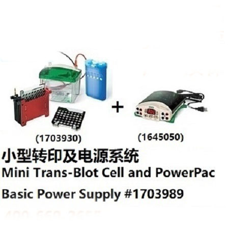 小型轉印及電源系統