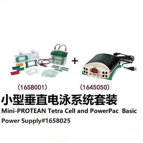 小型垂直電泳系統套裝