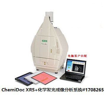 化學發光成像分析系統