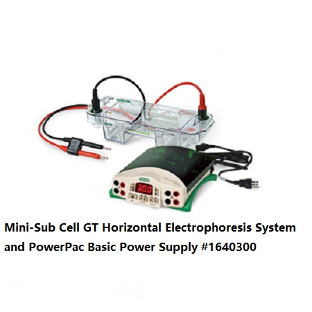小型水平電泳系統套裝