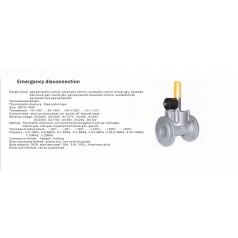 進口低壓緊急切斷電磁閥（通電關閉、手動打開）