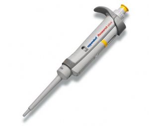 Eppendorf Research plus整支滅菌可調量程移液器0.1-2.5ul