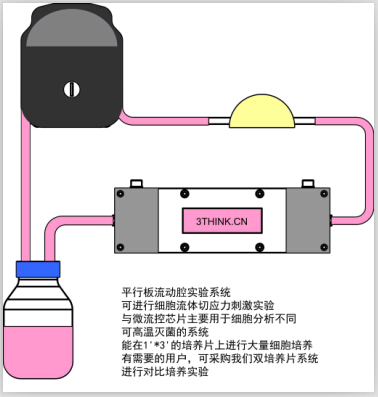 BIOCUL-S100平板流動腔