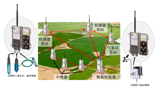 WatchDog 無線網絡監測系統