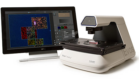Invitrogen EVOS FL Auto 2智能全自動熒光顯微成像系統