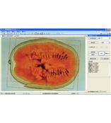 LA-S瓜果剖切面、瓤色圖像分析儀系統