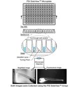 PSI SideView 成像板（觀察斑馬魚胚胎）