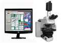 顯微影像分析系統
